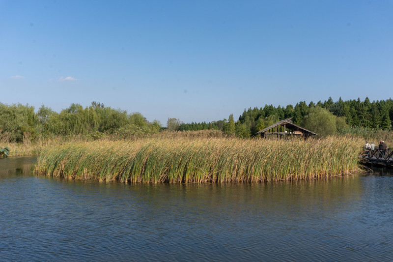 乘着动车去旅行,乘着高铁游扬州高邮北