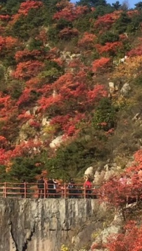 卧龙谷风光,卧龙谷秋色图片