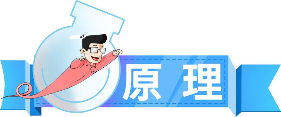 全息投影蝴蝶影像,小朋友全息投影