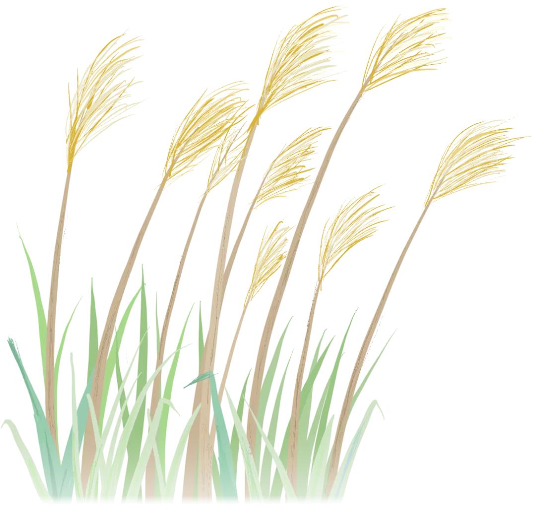 节育环保质期过了会有什么症状,节育环的保质期是多长时间