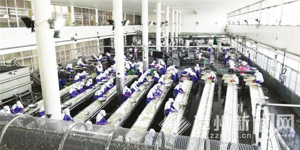 公司积极响应复工复产,平稳有序地推进复工复产