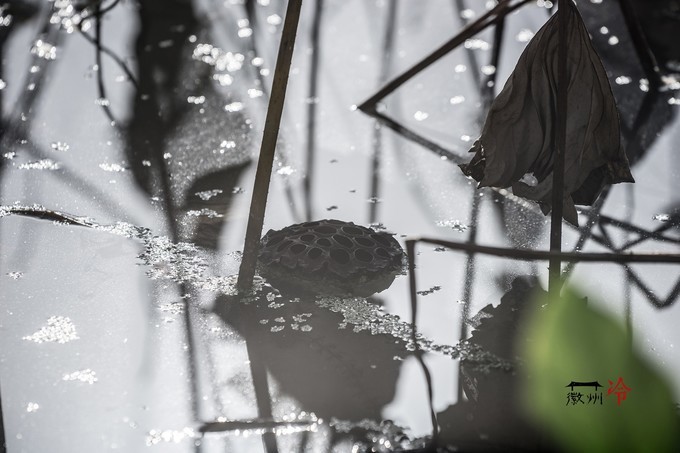 「徽州冷」宏村秋深晴少,友谊地久天