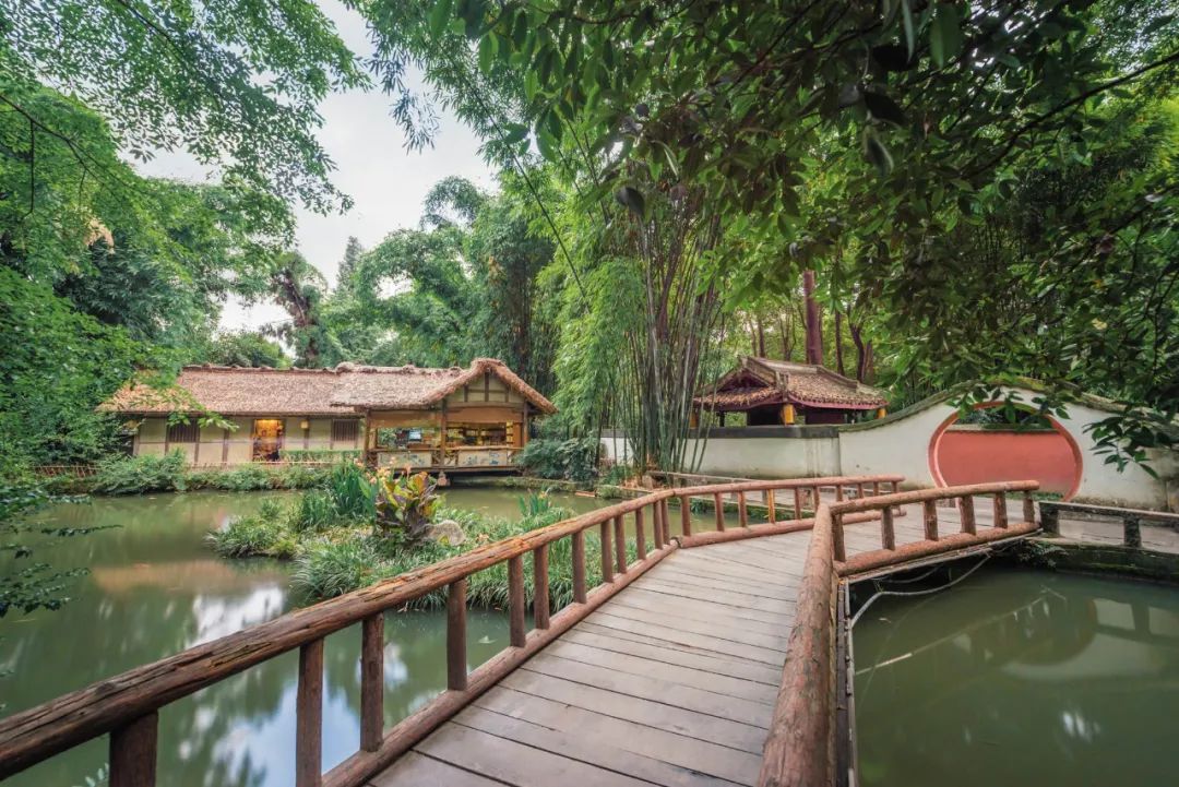 靠着一首歌走红全网视频,靠一首歌火爆全网