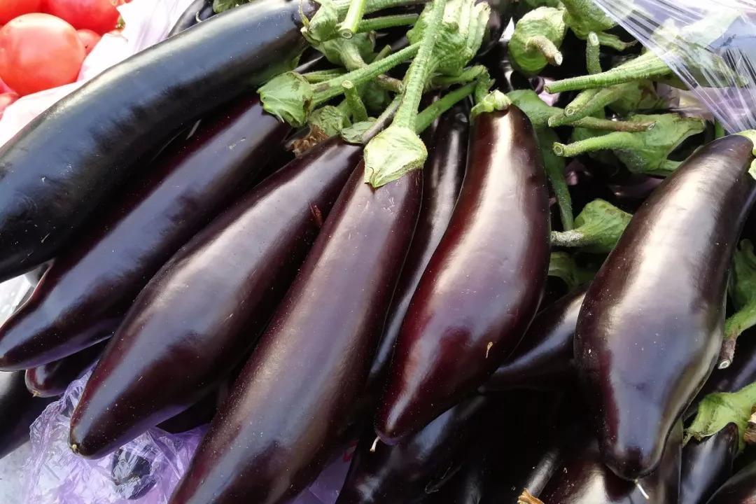 茄子圆茄长茄区别 (长茄好还是圆茄好)