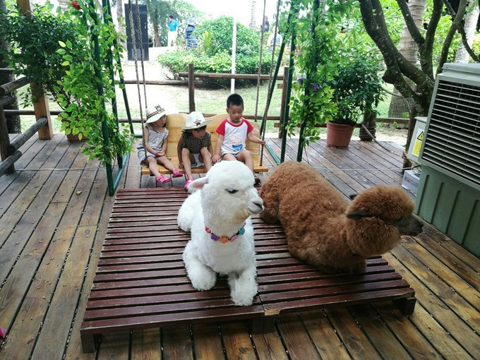 带最爱的人去吃美食,和最爱的人去哪里好玩