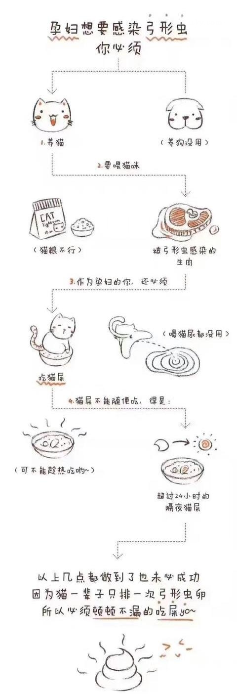 怀孕养宠危害大吗,标题为什么孕妇不建议养宠物呢