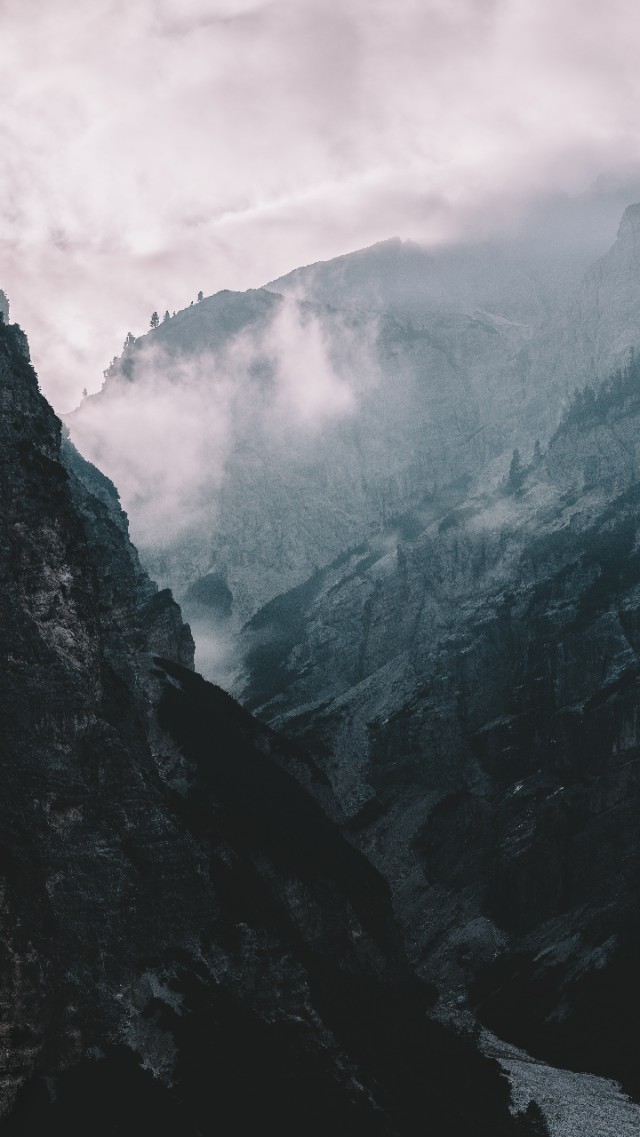 中国家谱内容和格式,传统族谱格式