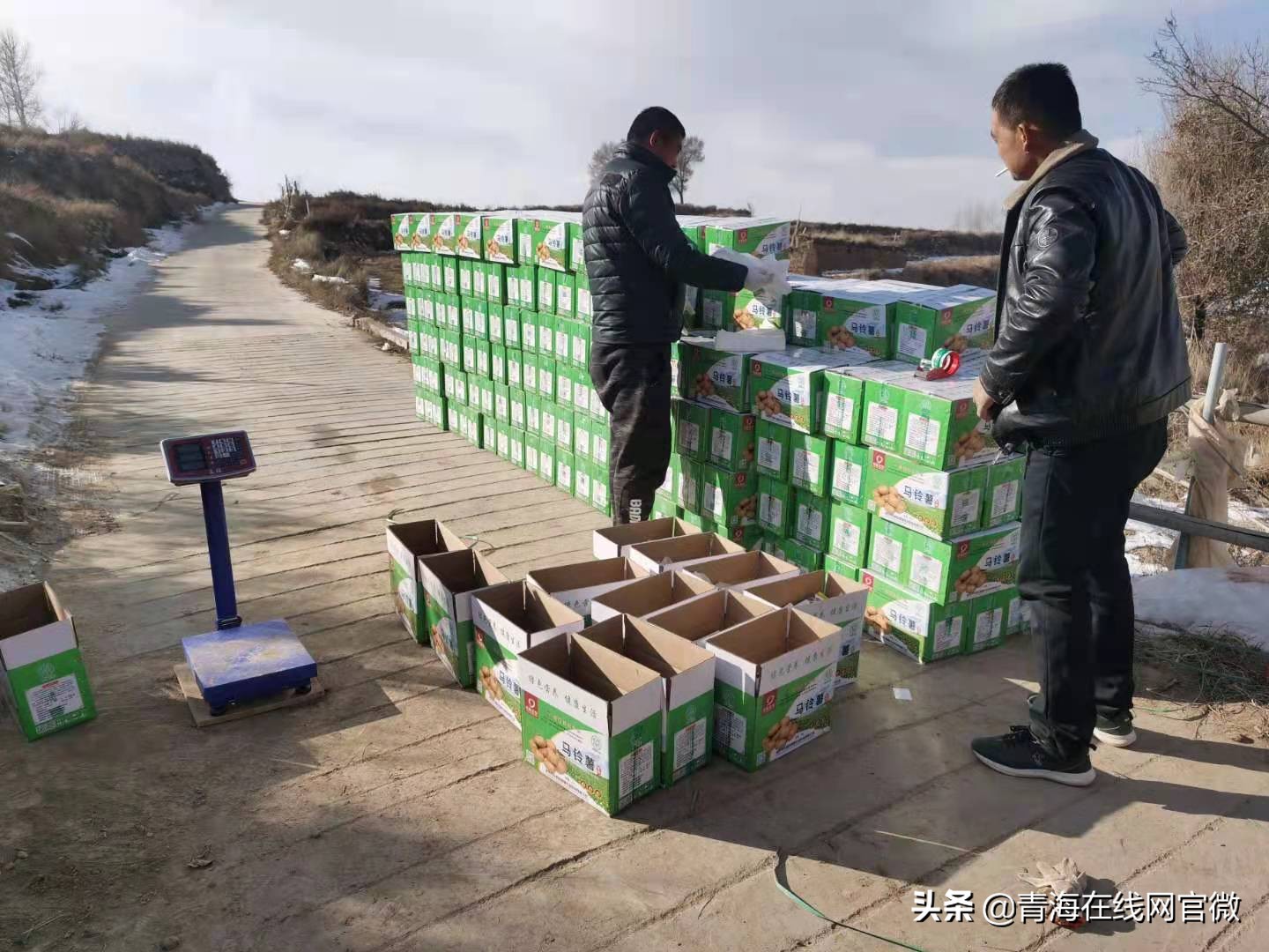 乐都区鼎隆农业公司：小土豆带动大经济