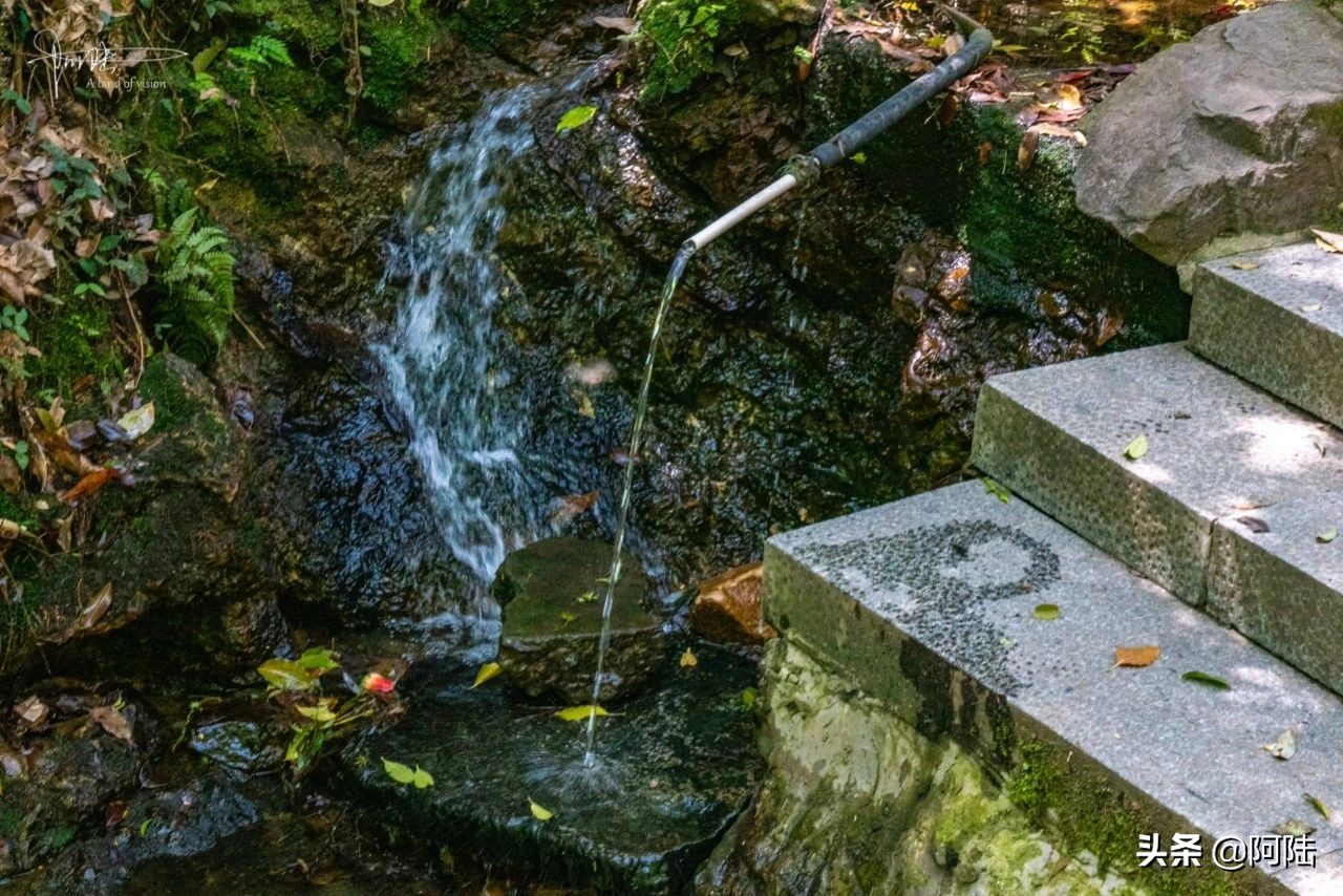 杭州虎跑泉水,杭州虎跑泉旅游攻略