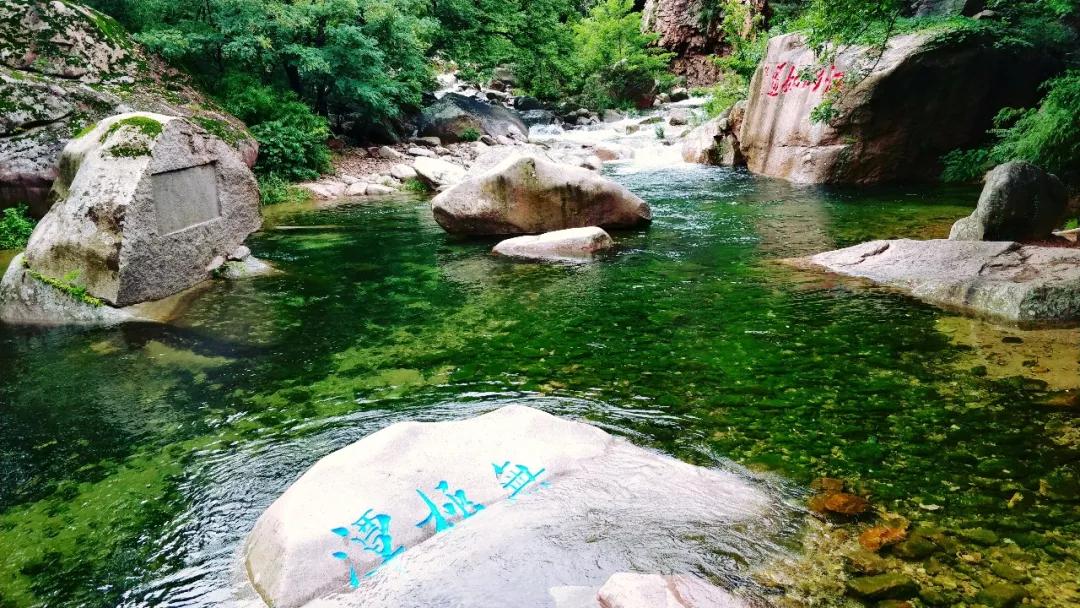 媲美四川九寨沟！山东这些地方野趣十足，承包夏天90%的清凉！