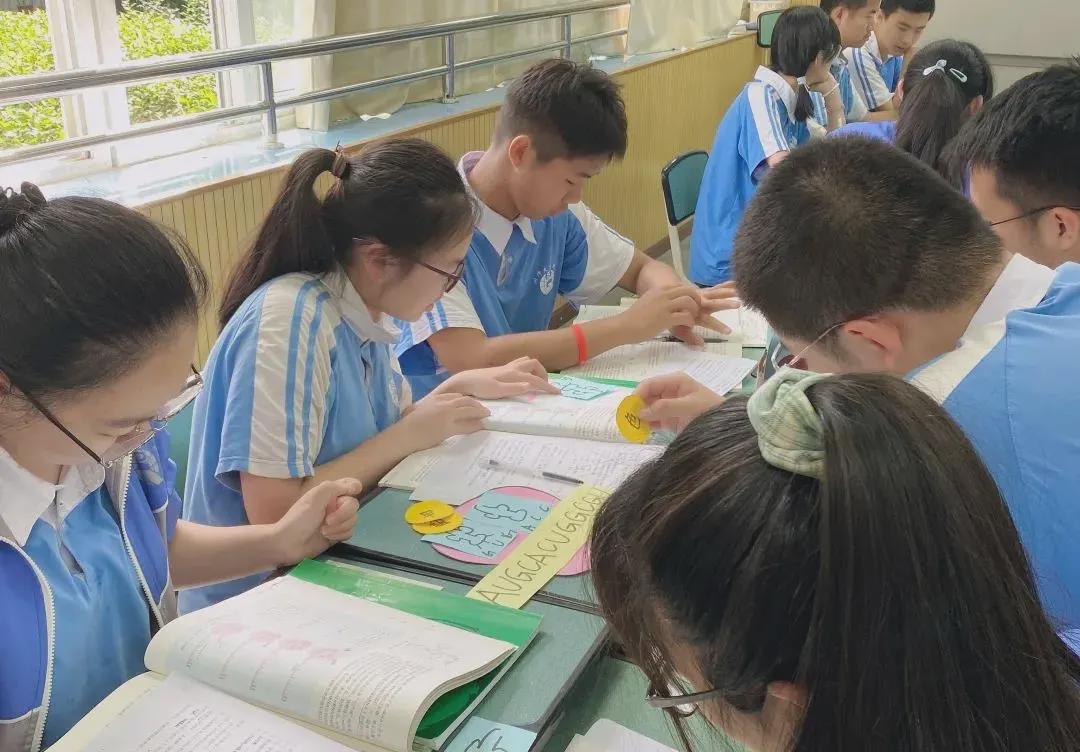 师大实外国际部,师大实外简介