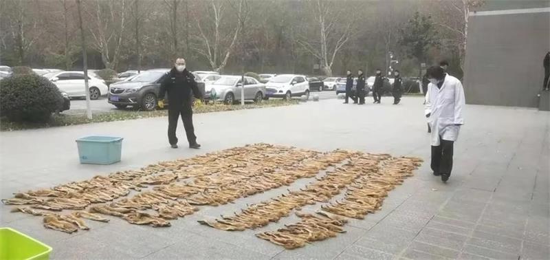 抓黄鼠狼罚960万,21人猎捕1.2万只黄鼠狼判赔近千万
