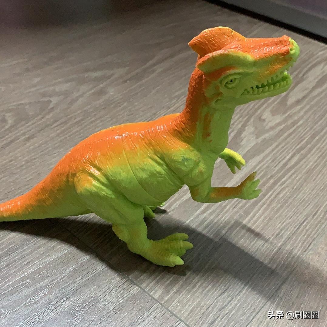 第五单元说明文作文500字五年级,五年级第五单元说明文作文范文