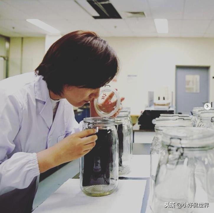 这份工作对我来说非常具有挑战性,挑战性高的工作