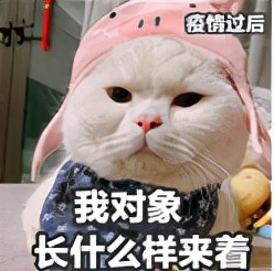 国庆网恋女友,国庆网恋奔现翻车