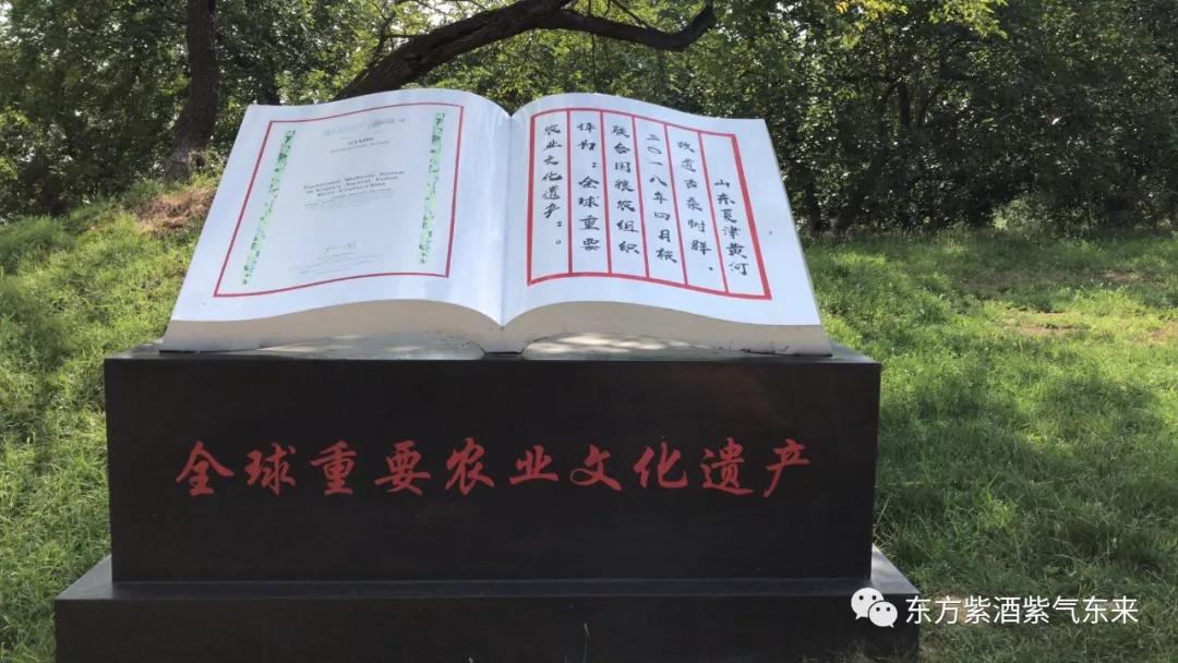 传承桑氏家族文化,传承传统文化彰显蚕桑魅力美篇