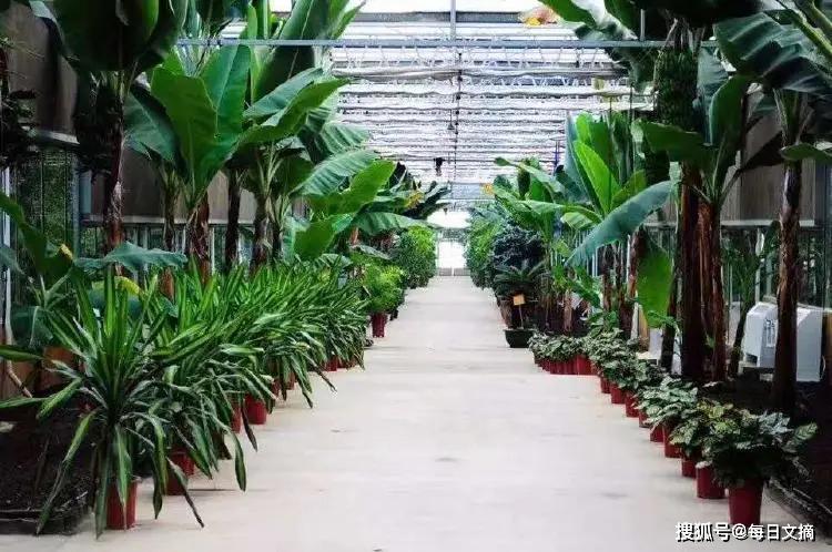 吉林市神农庄园温泉,吉林市神农庄园温泉度假村