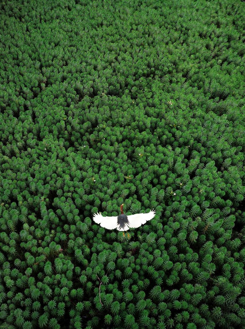 香港第14届全国摄影艺术展,第29届全国摄影艺术展览获奖名单