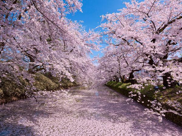 日语优美的词,日语意境好的词语