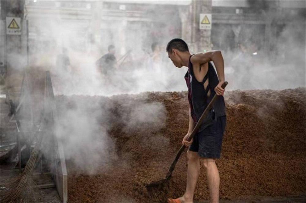 真全粮酿酒现场,真全粮酿酒原料配方