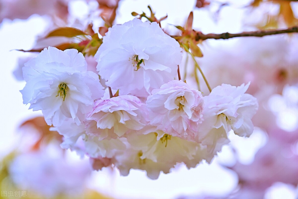 看清一个男人的真心这三点就够了,看清一个人三点就够了