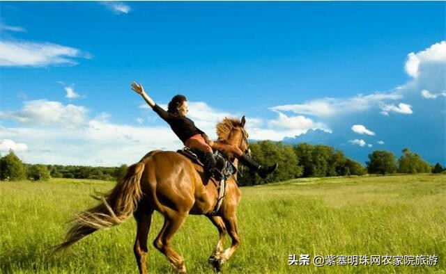 梨木台景林农家院,梨木台景林农家院直播