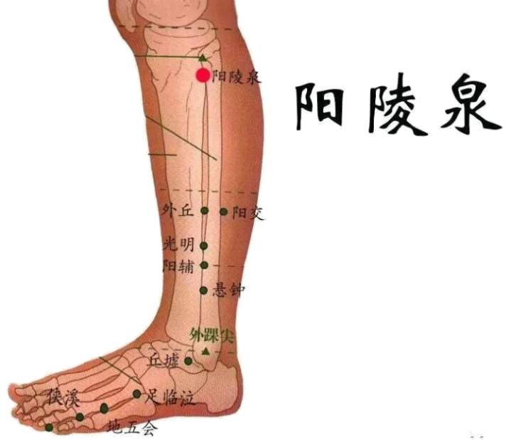 网球肘特效针灸,网球肘手法教程视频