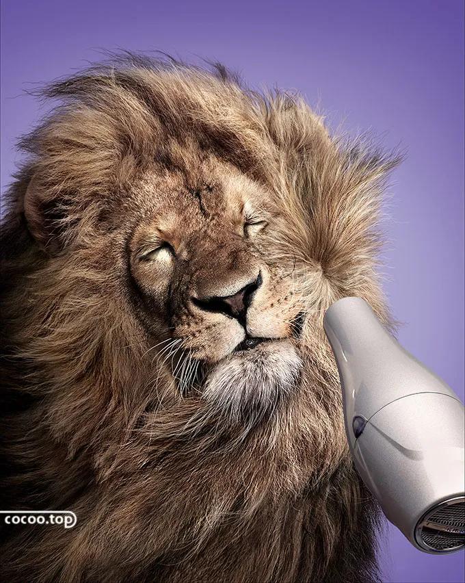 设计师如何快速找客户,设计师如何快速创业