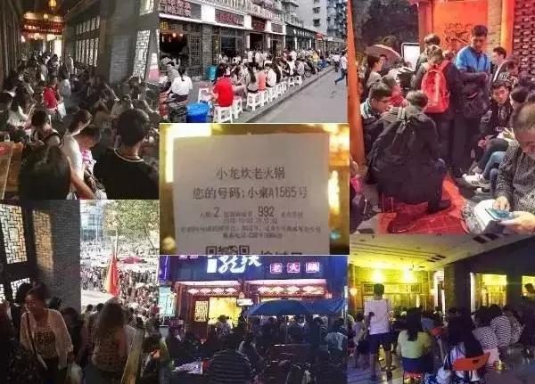 苏州知青回忆录,苏州最近非常红的网红店