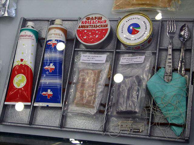 猫咪未来可期,猫咪统治人类的野心有多大