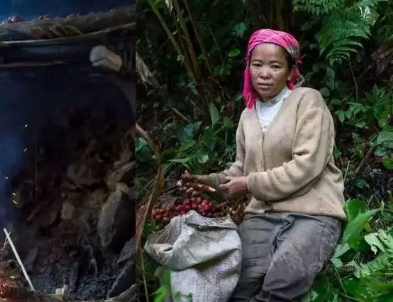 建国初期全国有多少个民族,新中国确认出多少个民族