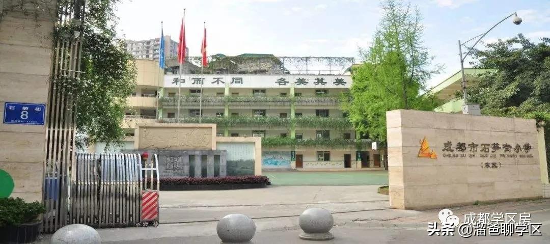石笋街和茶店子小学怎么选,茶店子小学vs石笋街小学选哪个