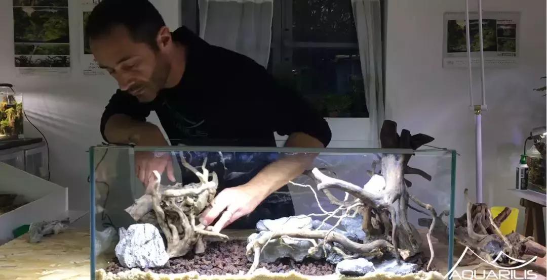 草缸造景教程：这个缸居然能装下一头“犀牛”？