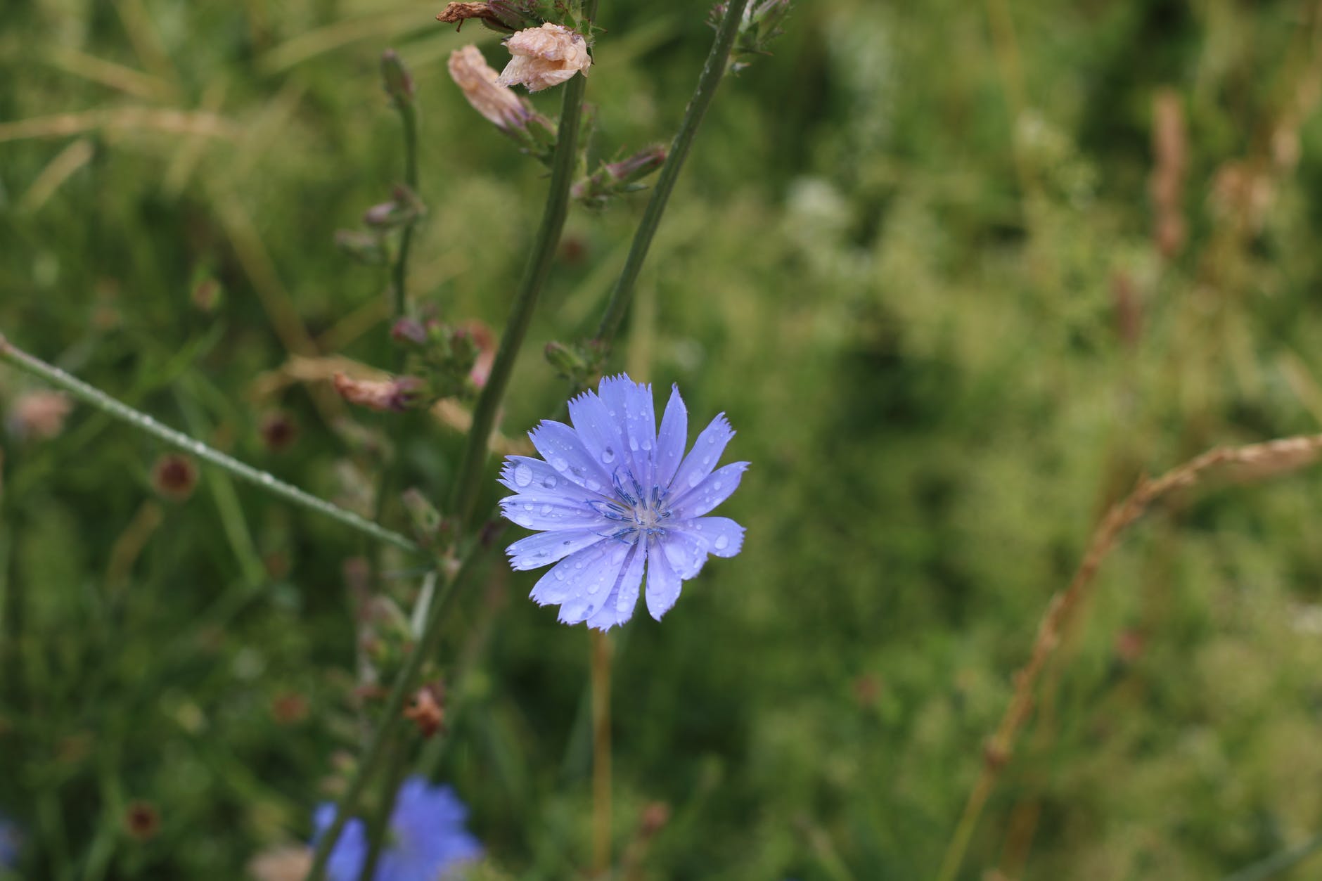 分手后诅咒前任的是什么心理,心理原因分析