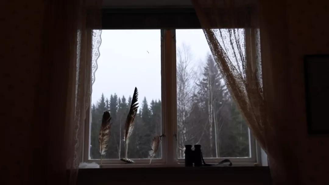 葬礼当天，她成为了四个孩子的“后妈”，网友：这是童话故事吧