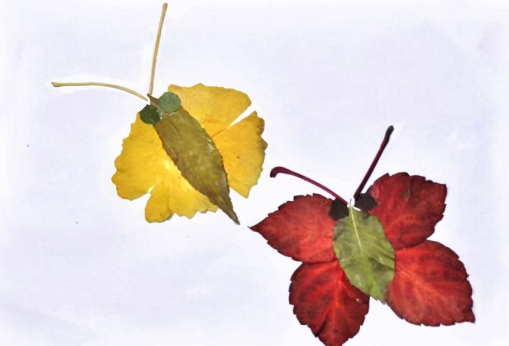 小制作小发明作文400字,小制作的作文150字