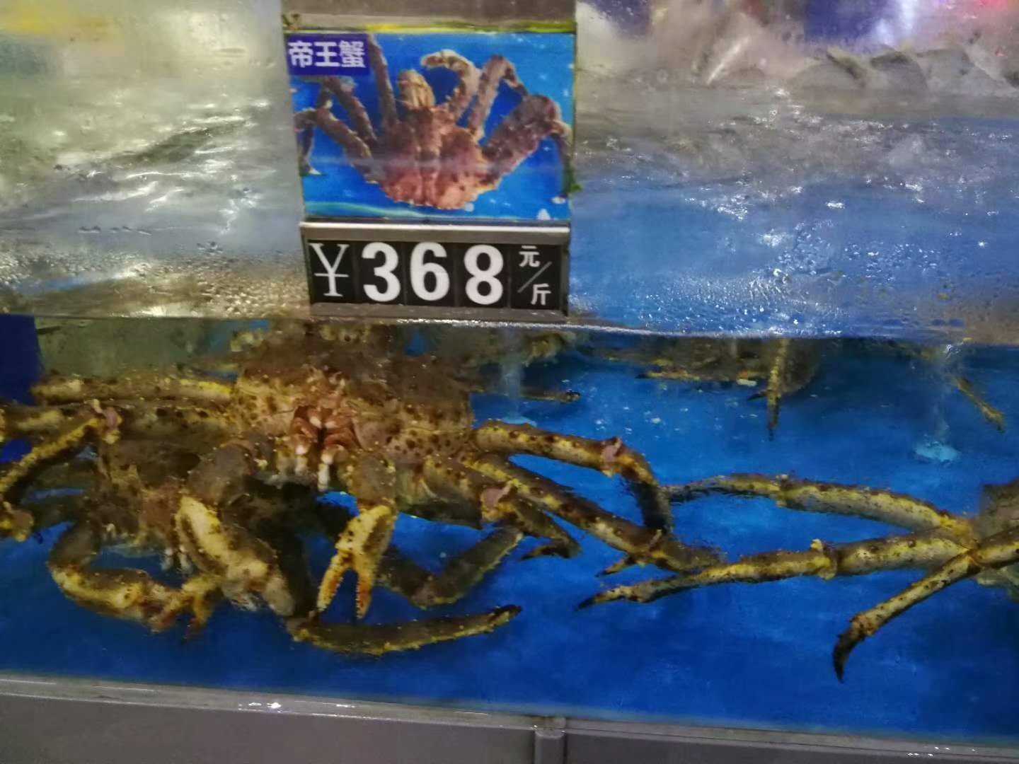 美丽椰城海口夜景,品味海口的韵味感受椰城的魅力