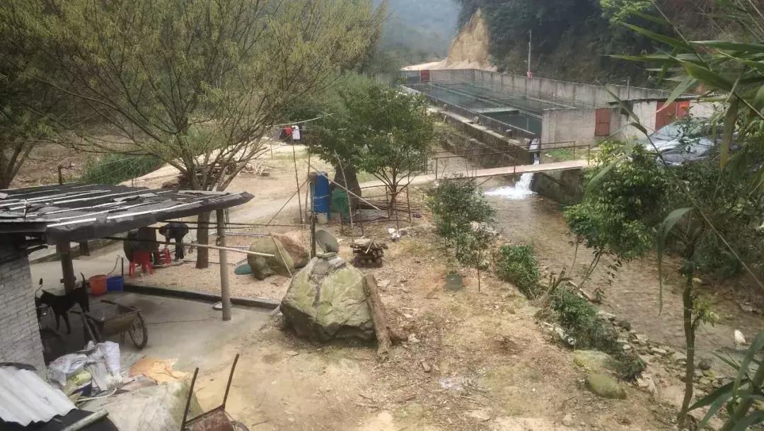 20,000㎡农庄,开业15年,主厨曾获粤港澳十大金牌名厨称号!