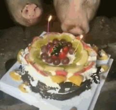 有麒麟臂的女朋友,拥有一个麒麟臂