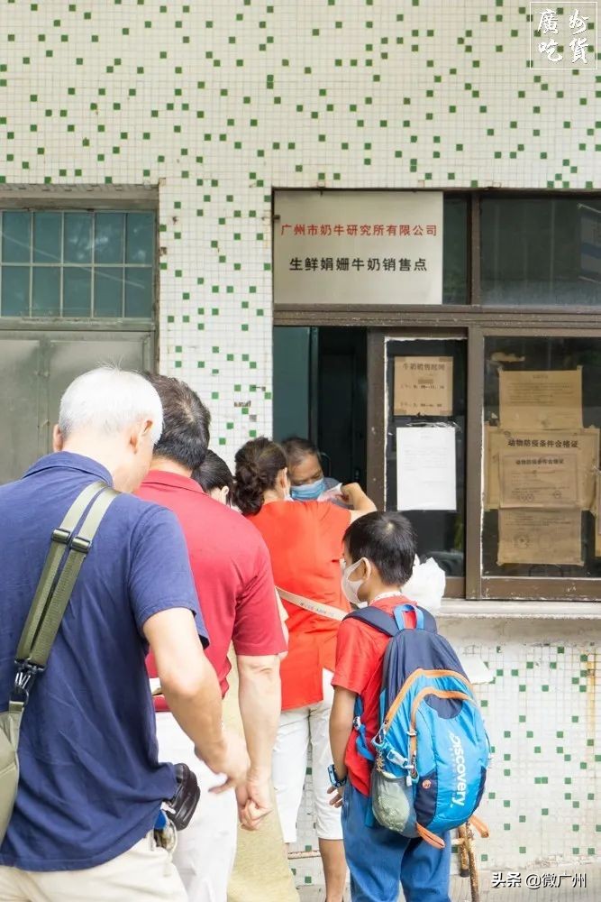 广州市奶牛研究所几点过去买牛奶,广州白云山奶牛研究所