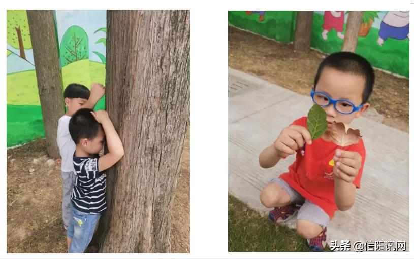 罗山破茧成蝶,幼儿园教育改革十年的变化