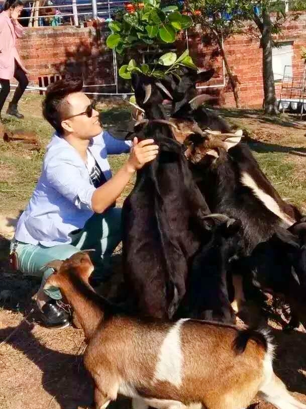 文蕴秀岭，馨怡乐园｜廉江文秀岭农牧场散记