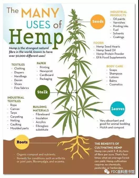 能用来制作面料的植物知多少？（下）