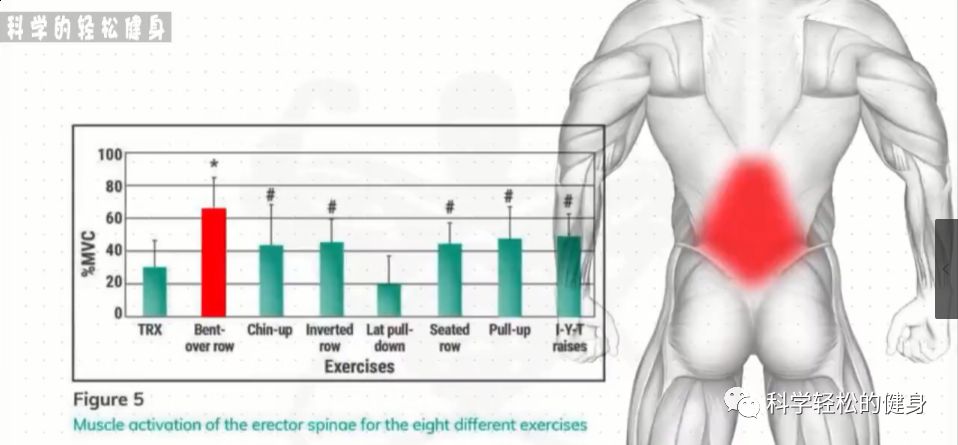 背部肌肉训练计划虐出完美的背肌,背部各个肌肉位置锻炼方法
