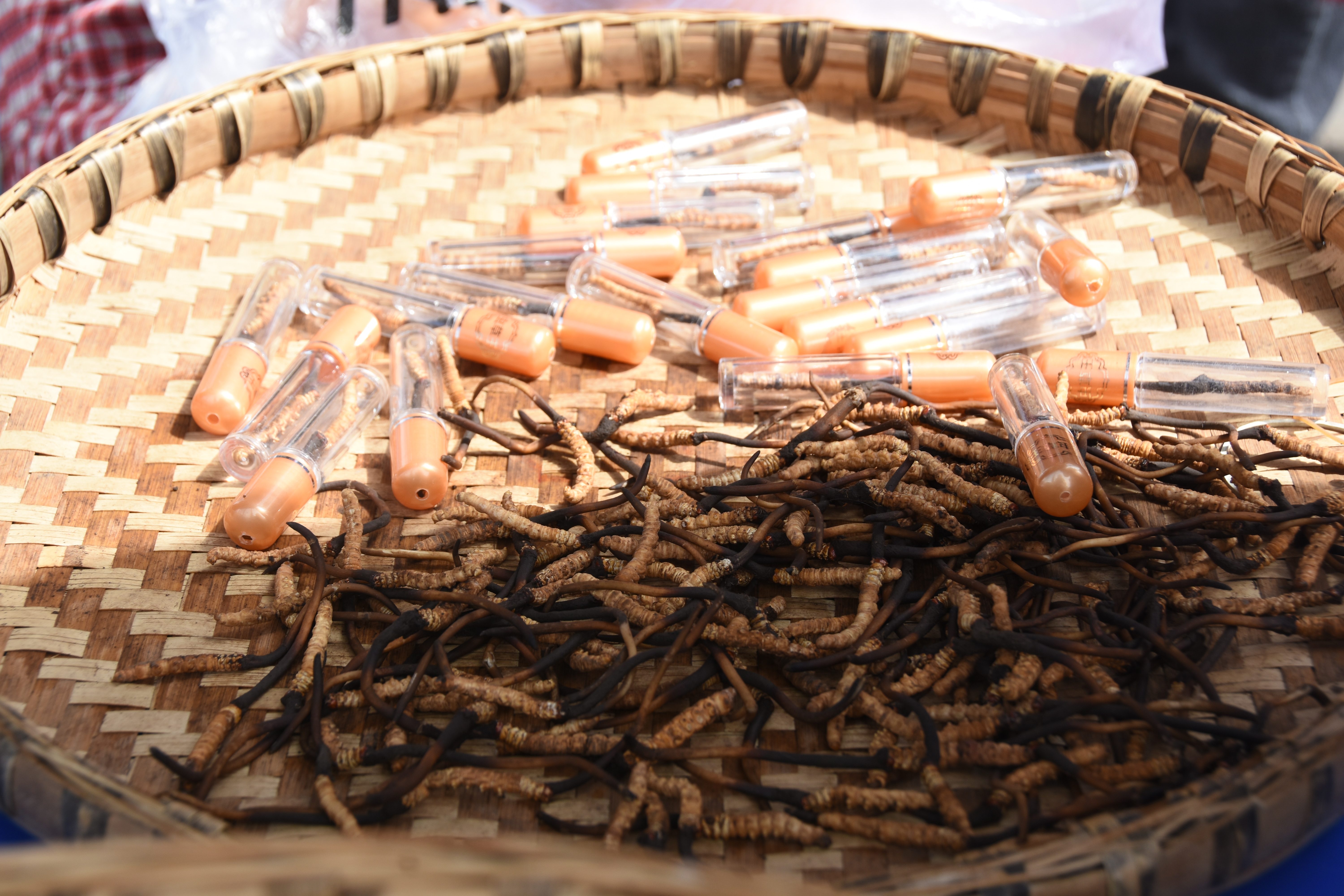 逆势上扬顺势而为蓄势待发,逆势回升北上资金再次杀回创业板