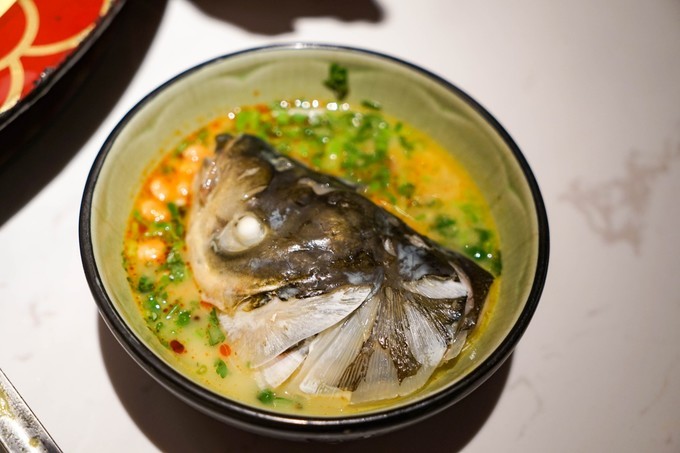 广东顺德美食旅游攻略学生,顺德自驾这份美食攻略要收好