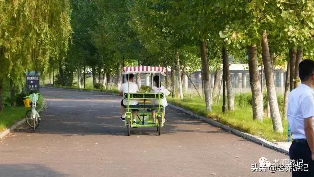 阳光有氧健身跑,阳光有氧训练跑步