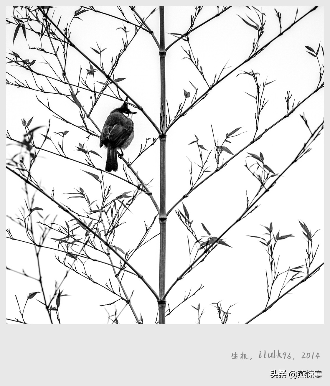 佳能rf24-702.8镜头,推荐几款佳能相机和镜头