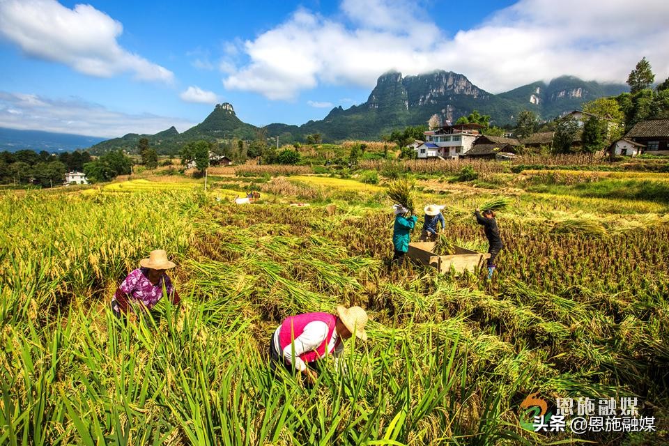 李伦英:用镜头记录家乡的美丽