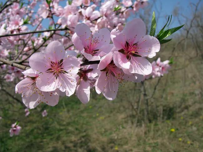 生活随感心得,生活随感作文